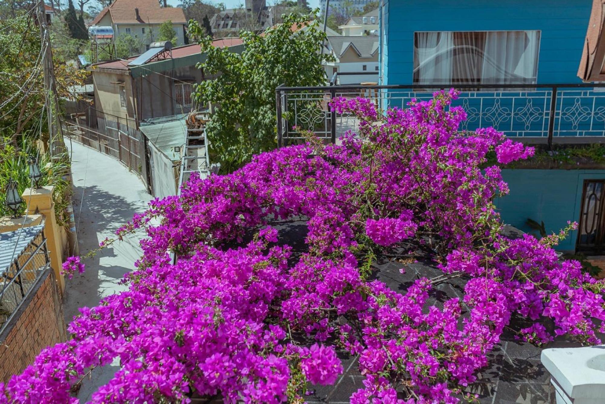Mhome Da Lat Kültér fotó